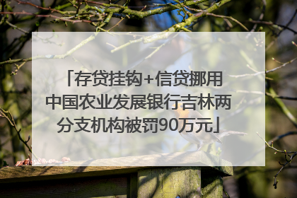 存贷挂钩+信贷挪用 中国农业发展银行吉林两分支机构被罚90万元