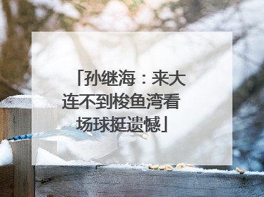 孙继海：来大连不到梭鱼湾看场球挺遗憾