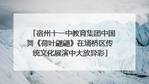宿州十一中教育集团中国舞《荷叶翩翩》在埇桥区传统文化展演中大放异彩