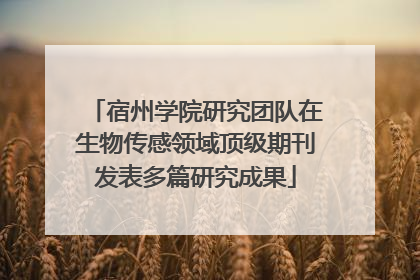 宿州学院研究团队在生物传感领域顶级期刊发表多篇研究成果