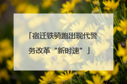 宿迁铁骑跑出现代警务改革“新时速”