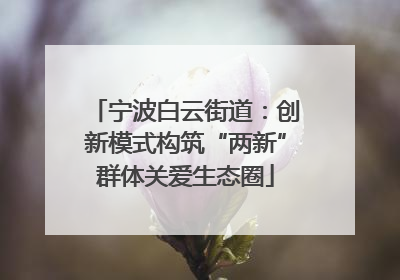 宁波白云街道：创新模式构筑“两新”群体关爱生态圈