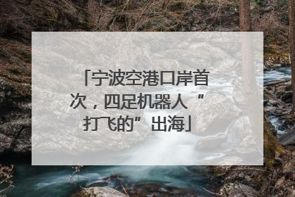 宁波空港口岸首次，四足机器人“打飞的”出海