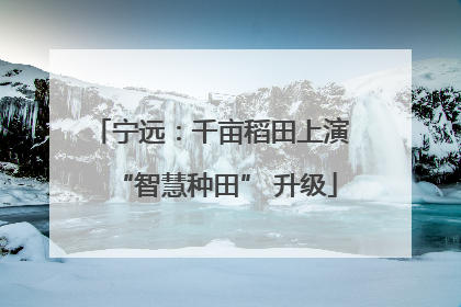 宁远：千亩稻田上演 “智慧种田” 升级