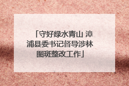 守好绿水青山 漳浦县委书记督导涉林图斑整改工作