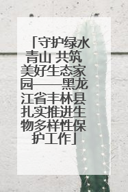 守护绿水青山 共筑美好生态家园——黑龙江省丰林县扎实推进生物多样性保护工作