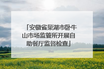 安徽省巢湖市卧牛山市场监管所开展自助餐厅监督检查