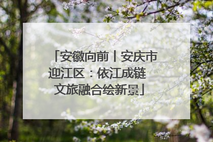 安徽向前丨安庆市迎江区：依江成链 文旅融合绘新景