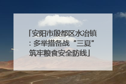 安阳市殷都区水冶镇：多举措备战“三夏” 筑牢粮食安全防线