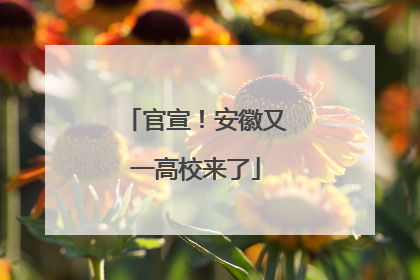 官宣！安徽又一高校来了