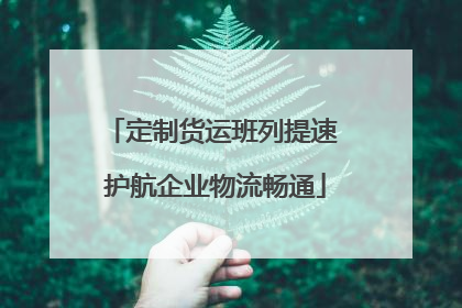 定制货运班列提速 护航企业物流畅通