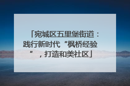 宛城区五里堡街道：践行新时代“枫桥经验”，打造和美社区