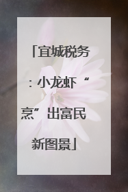 宜城税务：小龙虾“烹”出富民新图景