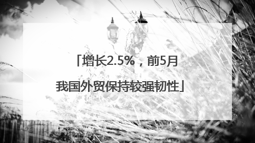 增长2.5%，前5月我国外贸保持较强韧性