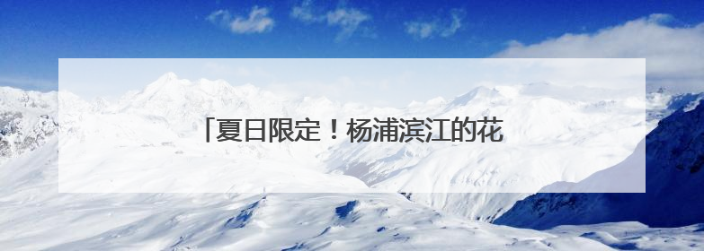夏日限定！杨浦滨江的花海超出片，速来打卡→
