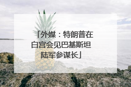 外媒：特朗普在白宫会见巴基斯坦陆军参谋长