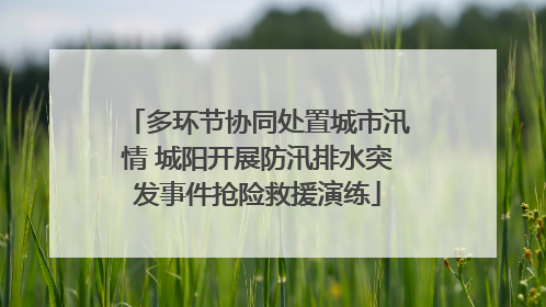 多环节协同处置城市汛情 城阳开展防汛排水突发事件抢险救援演练