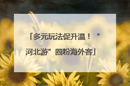 多元玩法促升温！“河北游”圈粉海外客