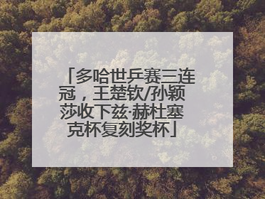 多哈世乒赛三连冠，王楚钦/孙颖莎收下兹·赫杜塞克杯复刻奖杯