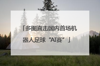多图直击国内首场机器人足球“AI赛”