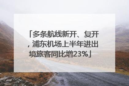 多条航线新开、复开，浦东机场上半年进出境旅客同比增23%