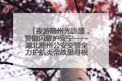 夜游随州光影盛，警徽闪耀护安宁——湖北随州公安交警全力护航炎帝故里寻根节夜游活动侧记