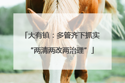 大有镇：多管齐下抓实“两清两改两治理”