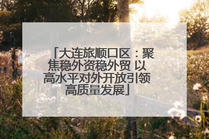 大连旅顺口区：聚焦稳外资稳外贸 以高水平对外开放引领高质量发展