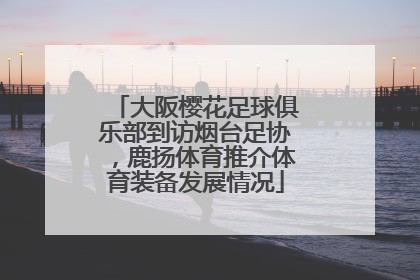 大阪樱花足球俱乐部到访烟台足协，鹿扬体育推介体育装备发展情况
