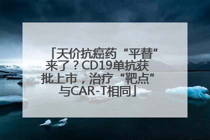 天价抗癌药“平替”来了？CD19单抗获批上市，治疗“靶点”与CAR-T相同