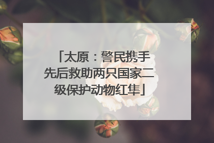 太原：警民携手 先后救助两只国家二级保护动物红隼