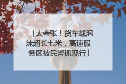 太夸张！货车载泡沫超长七米，高速服务区被民警抓现行