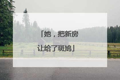 她，把新房让给了斑鸠