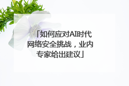 如何应对AI时代网络安全挑战，业内专家给出建议