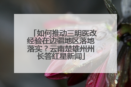 如何推动三明医改经验在边疆地区落地落实？云南楚雄州州长答红星新闻