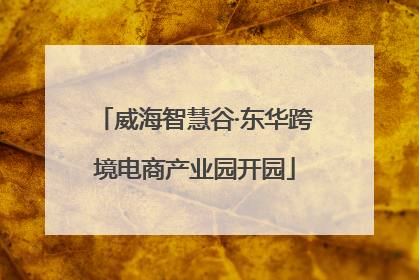 威海智慧谷·东华跨境电商产业园开园