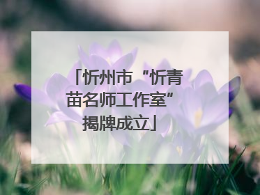 忻州市“忻青苗名师工作室”揭牌成立