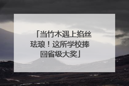 当竹木遇上掐丝珐琅！这所学校捧回省级大奖