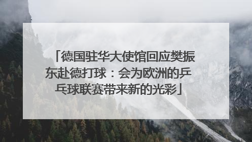 德国驻华大使馆回应樊振东赴德打球：会为欧洲的乒乓球联赛带来新的光彩
