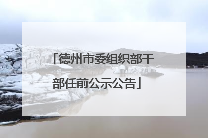德州市委组织部干部任前公示公告
