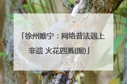 徐州睢宁：网络普法遇上非遗 火花四溅(图)