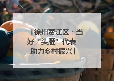 徐州贾汪区：当好“头雁”代表 助力乡村振兴