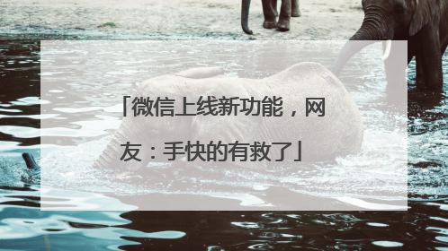 微信上线新功能，网友：手快的有救了