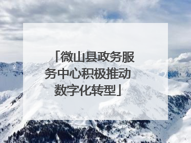 微山县政务服务中心积极推动数字化转型