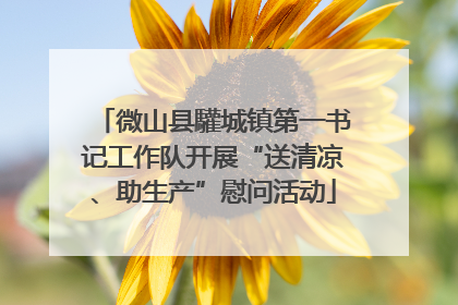 微山县驩城镇第一书记工作队开展“送清凉、助生产”慰问活动