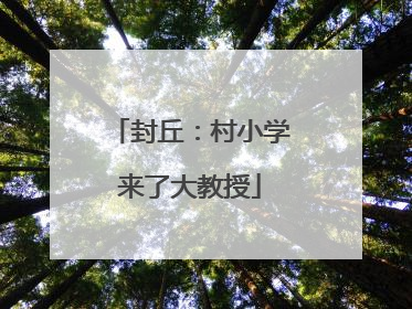 封丘：村小学来了大教授