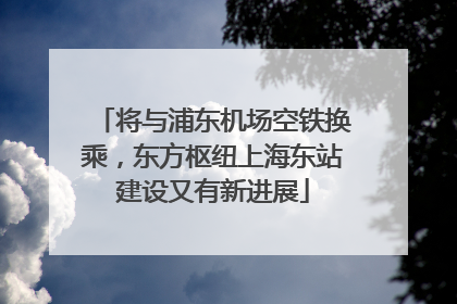 将与浦东机场空铁换乘，东方枢纽上海东站建设又有新进展