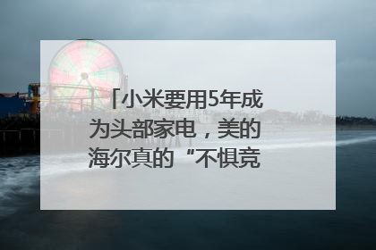 小米要用5年成为头部家电，美的海尔真的“不惧竞争”？｜热财经