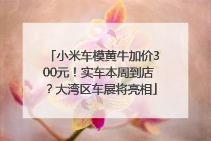 小米车模黄牛加价300元！实车本周到店？大湾区车展将亮相