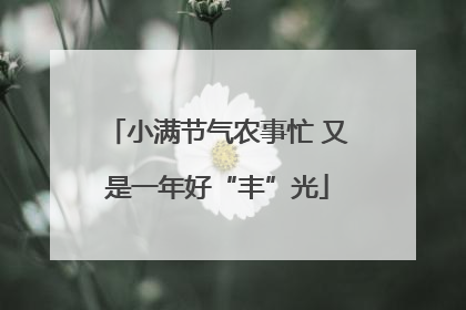 小满节气农事忙 又是一年好“丰”光